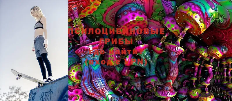 Галлюциногенные грибы Psilocybe  darknet клад  Вязники 